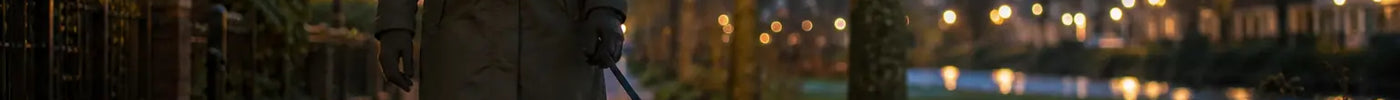 Donkere hond met lichtgevende halsband tijdens een natte herfstwandeling in de schemering