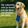 Samen op reis: dit moet je weten over vaccinaties voor je hond in het buitenland