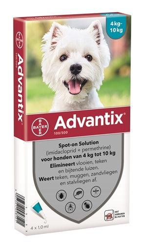 Gevoelige huid & allergie bij katten