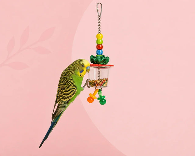 Foerageren vogels