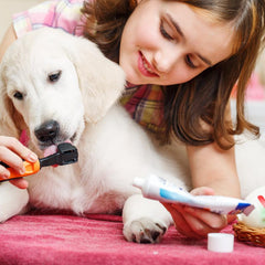 Collection image for: Verzorging van puppy’s