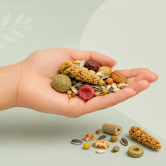 Snacks voor vogels