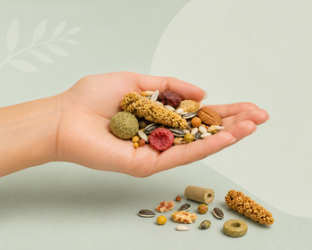 Snacks voor vogels