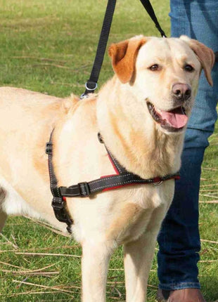 Trixie Trainingsgeschirr Lead'n'Walk Soft