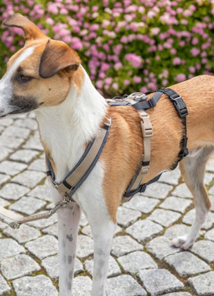 Trixie Panik-Adapter Stay für Geschirre