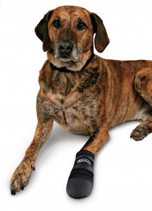 Trixie Walker Care Pfotenschutz-Stiefel