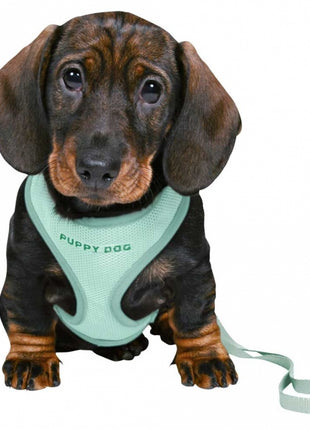 Trixie Junior Welpen-Softgeschirr mit Leine
