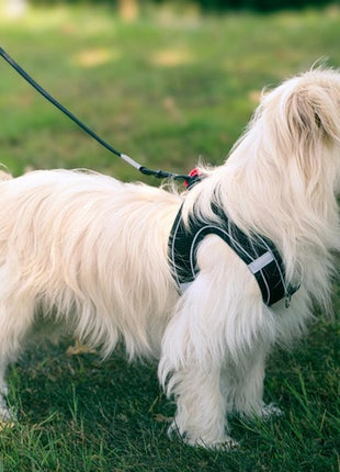 Zolux Szelki oddychające z siatki M czarne