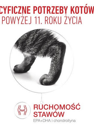 Royal Canin Ageing +11 karma mokra dla kotów dojrzałych w galaretce saszetka 85g