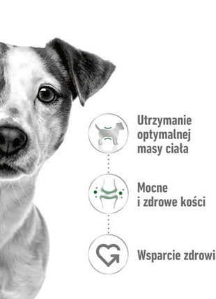 Royal Canin Mini Adult karma sucha dla psów dorosłych, ras małych 0,8kg