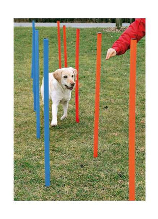 Trixie Agility Slalom