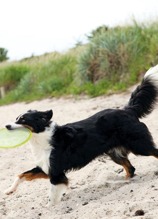 Trixie TPR Dog Disc, schwimmfähig
