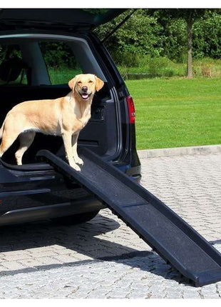Trixie PetWalk Klapp-Rampe