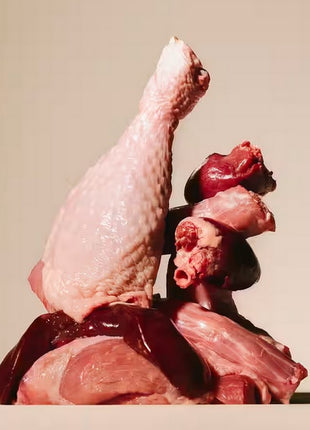 Carnilove Dog Turkey & Quail - indyk i przepiórka saszetka 300g