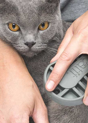 Catit Bürsten-Set für Kurzhaarkatzen