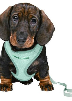 Trixie Junior Puppytuig Soft Met Riem Mintgroen