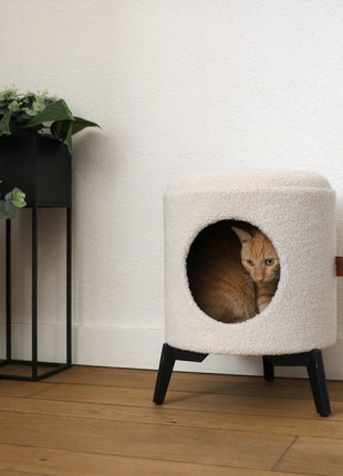 D&D Katzenhaus Jean