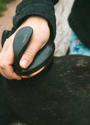 EBI Noir ergonomische weiche Bürste