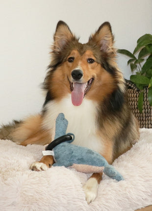 D&D Hundespielzeug Navy Chenille
