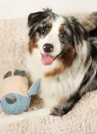 D&D Hundespielzeug Isla Chenille