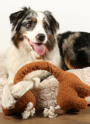D&D Hundespielzeug George Teddystoff