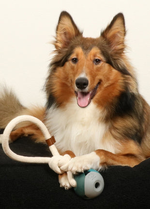 D&D Hundespielzeug Nora