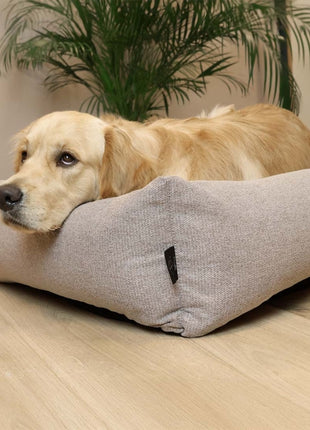 D&D Hundebett Eden