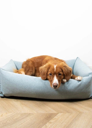D&D Hundebett Eden
