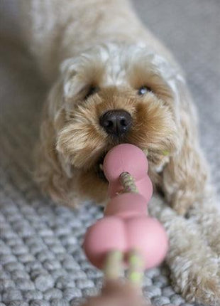 Rosewood Tough Twist Rubber Met Touw Bbq Smaak