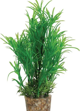 Zolux Ornament Pastic Plant Op Stenen Neutraal Assorti