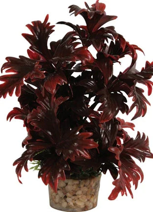 Zolux Ornament Pastic Plant Op Stenen Vrolijk Assorti