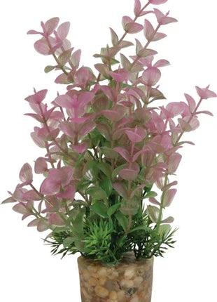 Zolux Ornament Pastic Plant Op Stenen Puntig Assorti