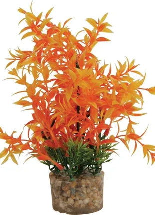 Zolux Ornament Pastic Plant Op Stenen Puntig Assorti