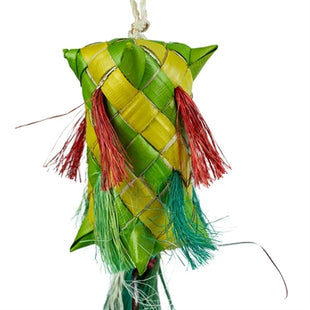 Back Zoo Nature Carnival Pinata