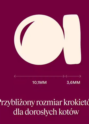 Carnilove Cat Active Lamb & Wild Boar Sterilised - jagnięcina i dzik 400g