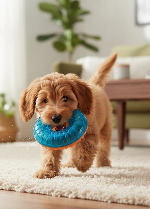 Zolux Zabawka do aportowania donut Tao 8,5cm