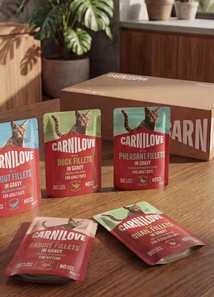 Carnilove Cat Turkey - indyk w sosie saszetka 85g