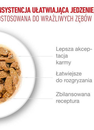 Royal Canin Ageing +11 karma mokra dla kotów dojrzałych w galaretce saszetka 85g