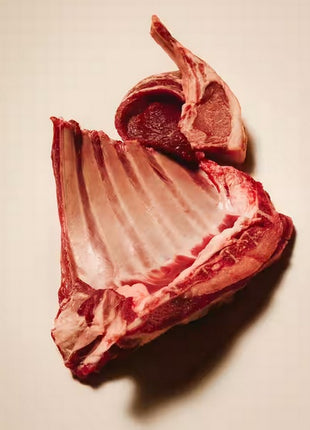 Carnilove Dog Active Lamb & Wild Boar Adult - jagnięcina i dzik 1,5kg