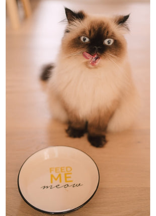 Duvoplus Katzennapf Stone Feed Me Meow