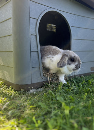Duvoplus Tierhaus Pepita Eco