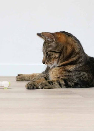 EBI Cat Toy Buzzing Caterpillar
