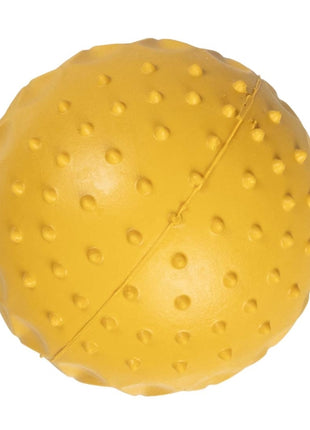 Duvoplus Ball Griplay Dental Punkt