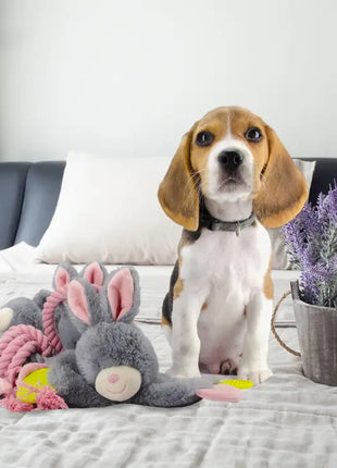 Bunny Puppy Crunchy Chew