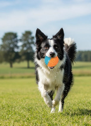 Zolux Zabawka gryzak piłka Tao 8cm