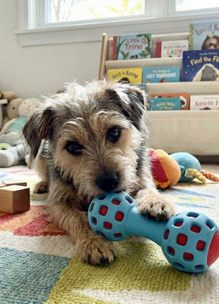 Zolux Zabawka na przysmaki gryzak hantel 13cm