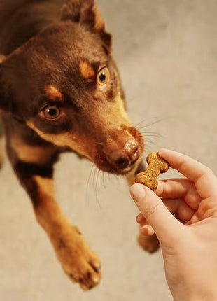 Carnilove Dog Crunchy Snack Ostrich 200g
