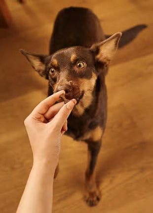 Carnilove Dog Soft Snack Duck 200g