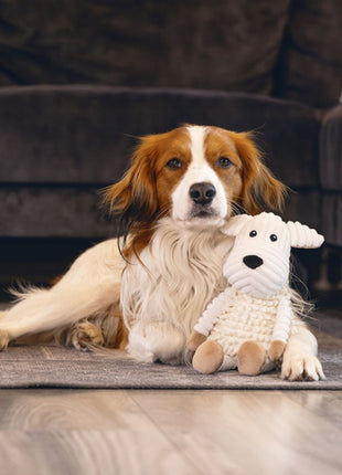 Beeztees Eco Hund Onne