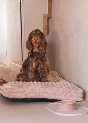 Designed by Lotte Hundekissen Reza